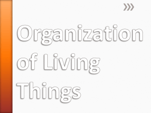 U6S3 Organization of Living Things