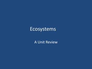 Ecosystems PowerPoint Review