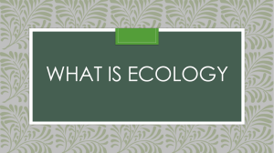What is Ecology Powerpoint