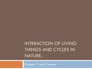 Interaction of living things and cycles in nature.