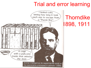 Trial and error learning