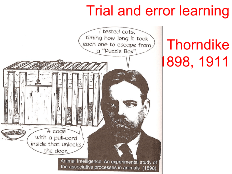 trial-and-error-learning