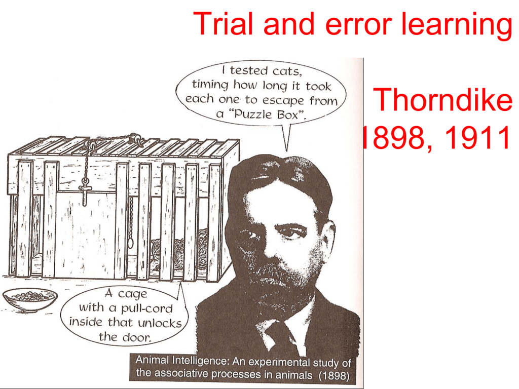 thorndike trial and error theory