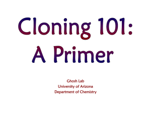 Cloning 101: A Primer - University of Arizona