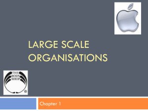Large Scale Organisations