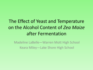 The Effect of Yeast and Temperature on the Alcohol