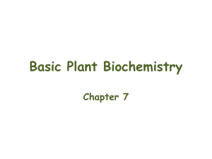Basic Plant Biochemistry