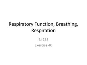 Respiratory Function, Breathing, Respiration