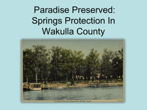 Wakulla Springs Protection