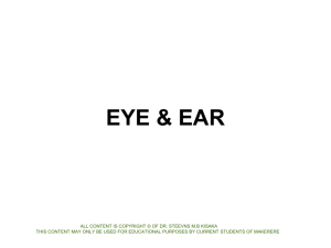 EYE & EAR