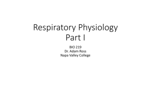 Respiratory Physiology Part I