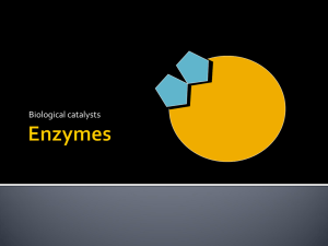 Enzymes - Liberty Union High School District