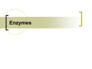 Notes: Enzymes