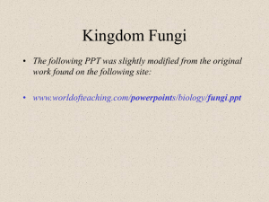 Kingdom Fungi PPT