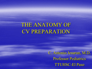 anatomy of cv preparation