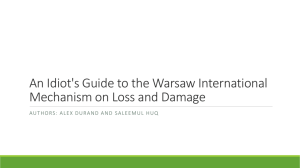 An Idiot's guide to the Warsaw International Mechanism on Loss and