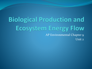 Biological Production and Ecosystem Energy Flow