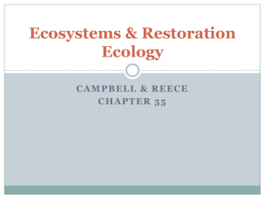 Ecosystems & Restoration Ecology