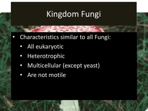 Kingdom Fungi1
