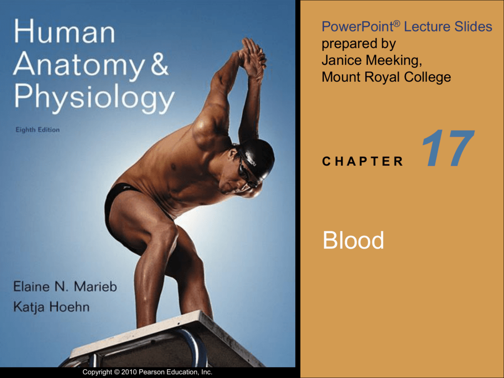 interactive physiology free download