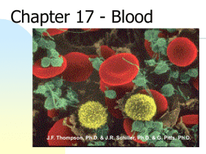 Chapter 17 - Blood - Anatomy and Physiology