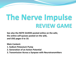 REVIEW GAME The Nerve Impulse TUN