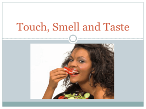 Touch, Smell and Taste - Chadwick School | Haiku Learning