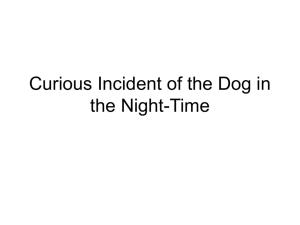 Curious Incident of the Dog in the Night-Time - dream-share