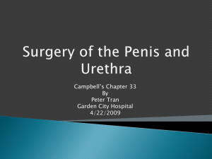 Surgery of the Penis and Urethra