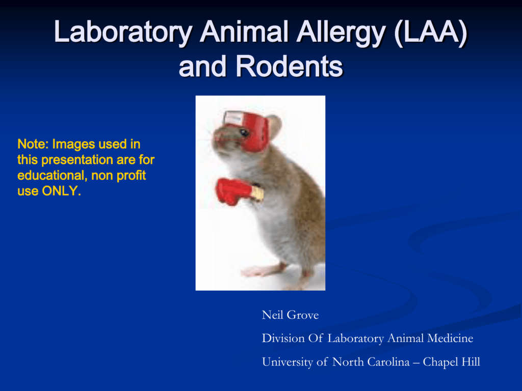 Laboratory Animal Allergy (LAA)