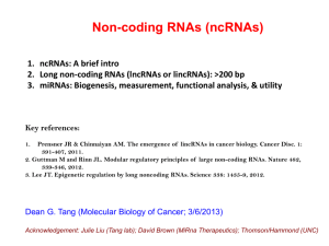 Non-coding RNAs (ncRNAs)