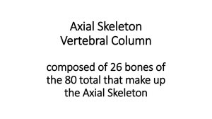 Axial Skeleton Vertebral Column composed of 26