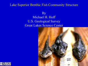 Lake Superior Benthic Fish Community Structure