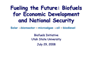 Fueling the Future: Biofuels for Economic Development