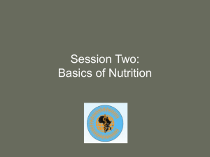 Session 2. The Basics of Nutrition