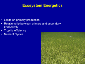 Marine Ecology 2009 final Lecture 7 Ecosystems