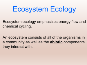 AP Enviro Ecosystem Energy Flow