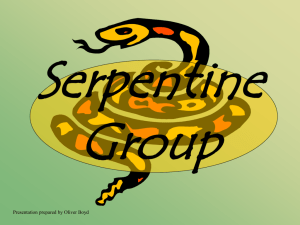 29Serpentine Group