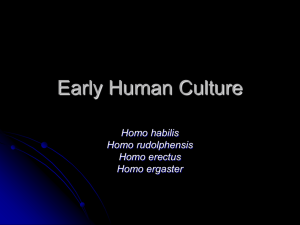 Early Human Culture