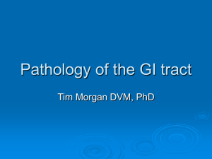 Pathology of the GI tract