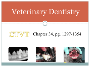 Dentistry-Surgery-KJV STUDENT part 1