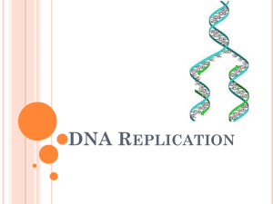 DNA Replication