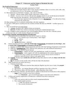 Chapter 27 – Prokaryotes and the Origins of Metabolic Diversity