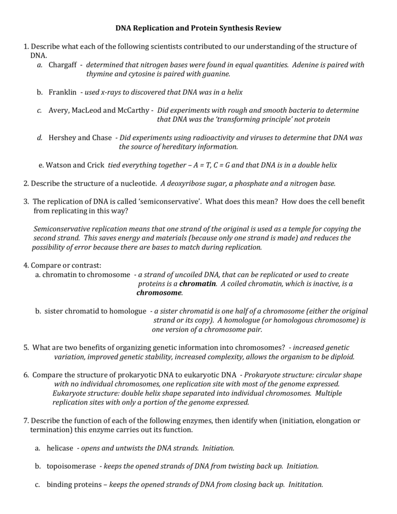 Dna Mutations Rna And Protein Synthesis Review Answer Key