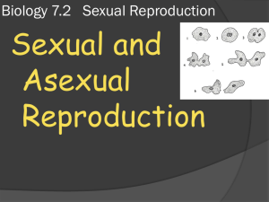 Biology 7.2 Sexual Reproduction