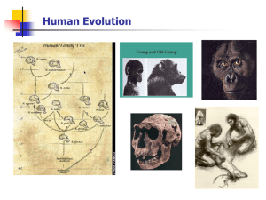 Lecture: Human Evolution 1