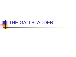 the gallbladder - Orange Coast College