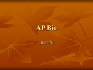 AP Bio