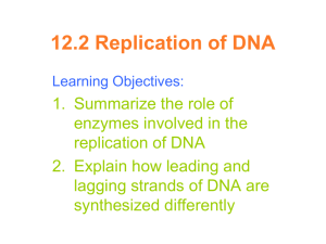 12.2 Replication of DNA