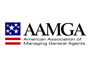 "An Insight into the AAMGA" presented by Euclid Black and Curtis